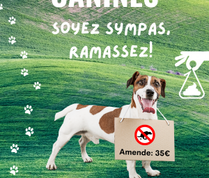 Affiche N°3 CMJ déjection canine